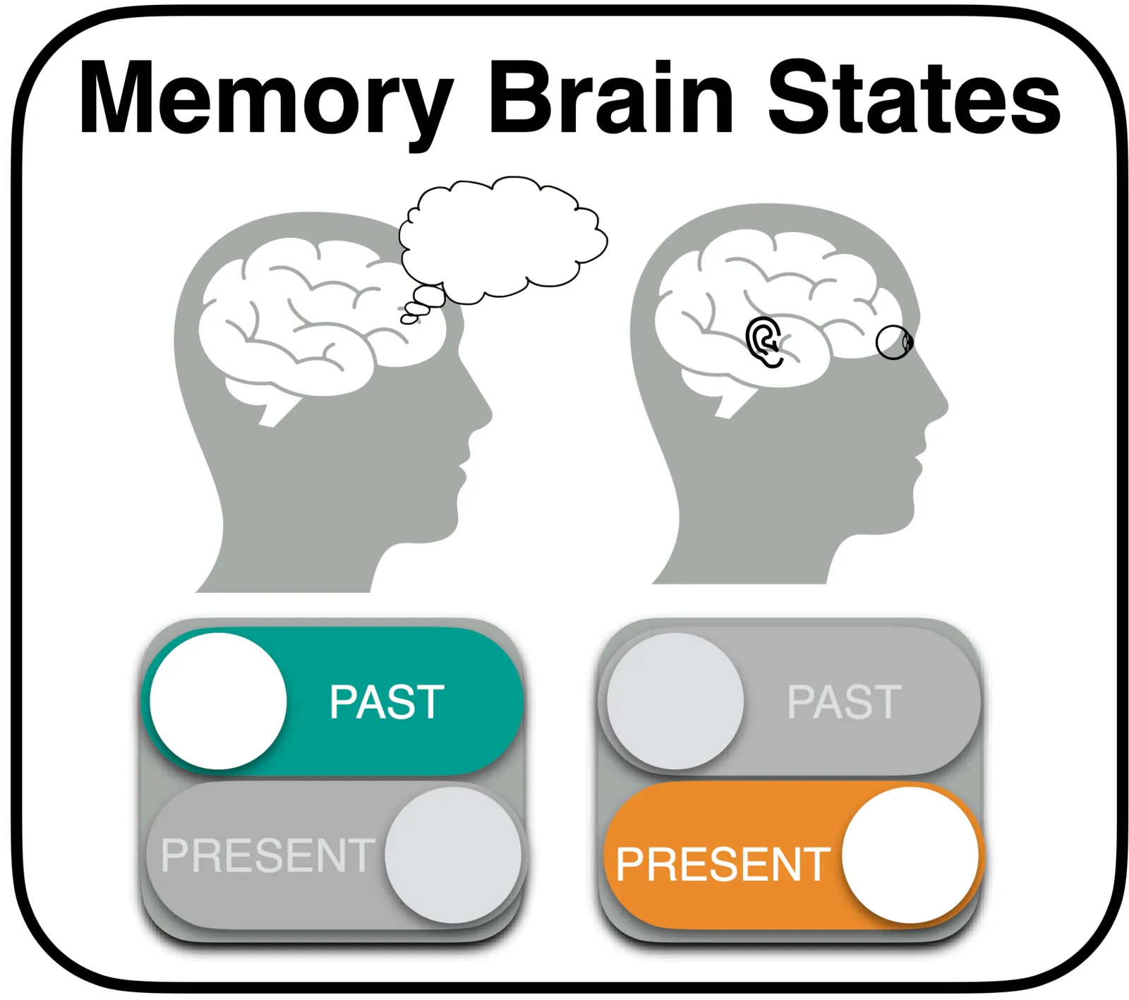 Two contrasting whole-brain activity patterns, one for directing attention to the past to retrieve a memory and one for directing attention to the present to encode new information.
